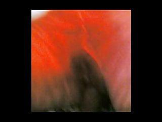 Amateur blurred Gesicht lutscht Schwanz und wird gefickt