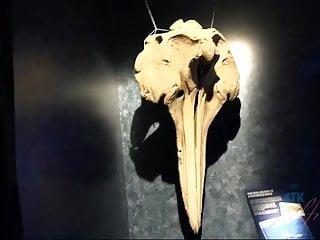 Babe cali Hayes in den Mund gespritzt